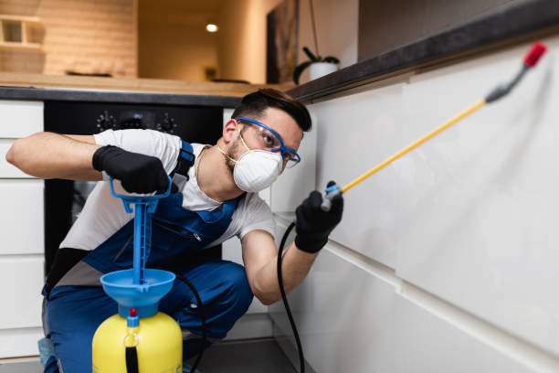 Best Flea Control Services  in Friedens, PA