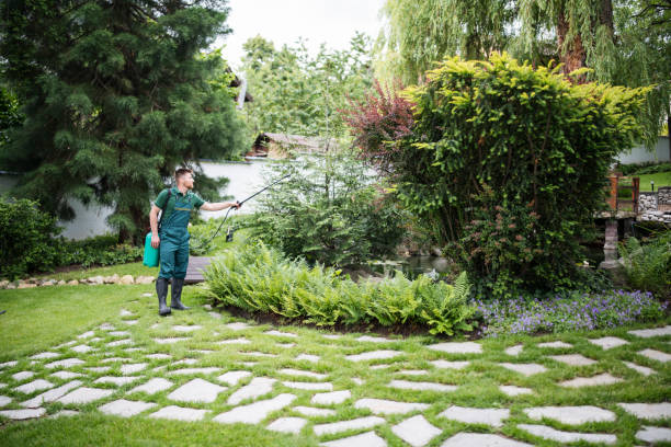 Best Insect Control  in Friedens, PA