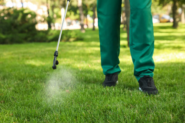 Best Wildlife Control Services  in Friedens, PA