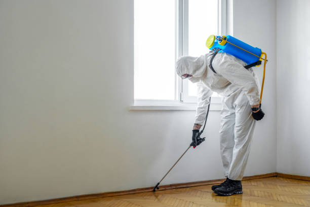 Best Insect Control  in Friedens, PA