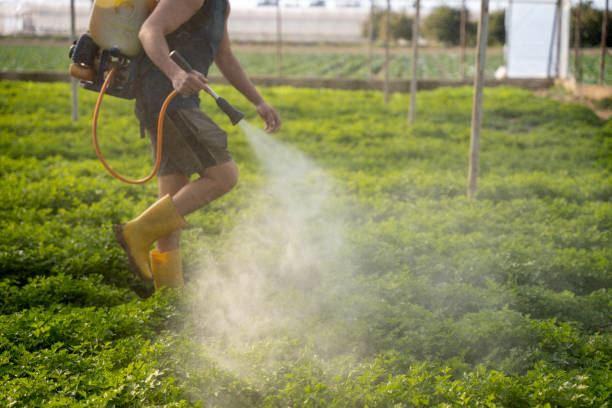 Best Ant Control Services  in Friedens, PA