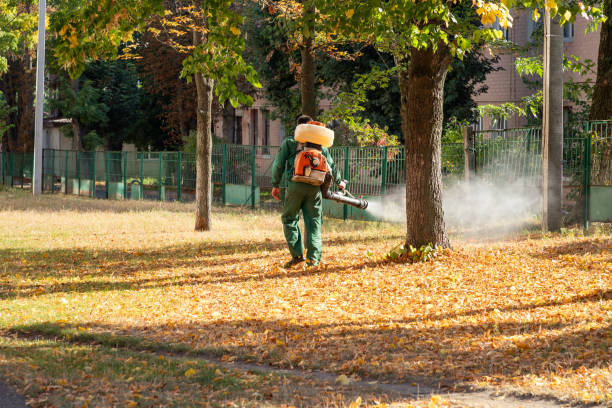 Best Pest Removal Services  in Friedens, PA