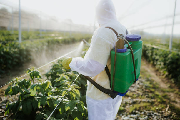 Wasp Removal Services in Friedens, PA